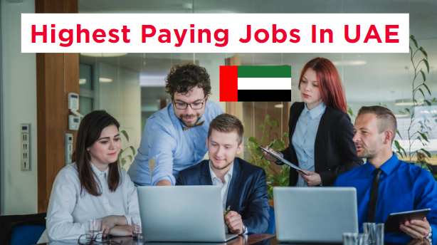 highest-paying-jobs-in-uae