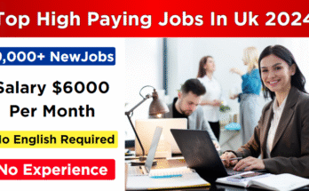 highest-paying-jobs-in-the-uk-2024