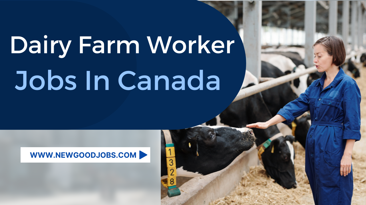 dairy-farm-worker-jobs-in-canada